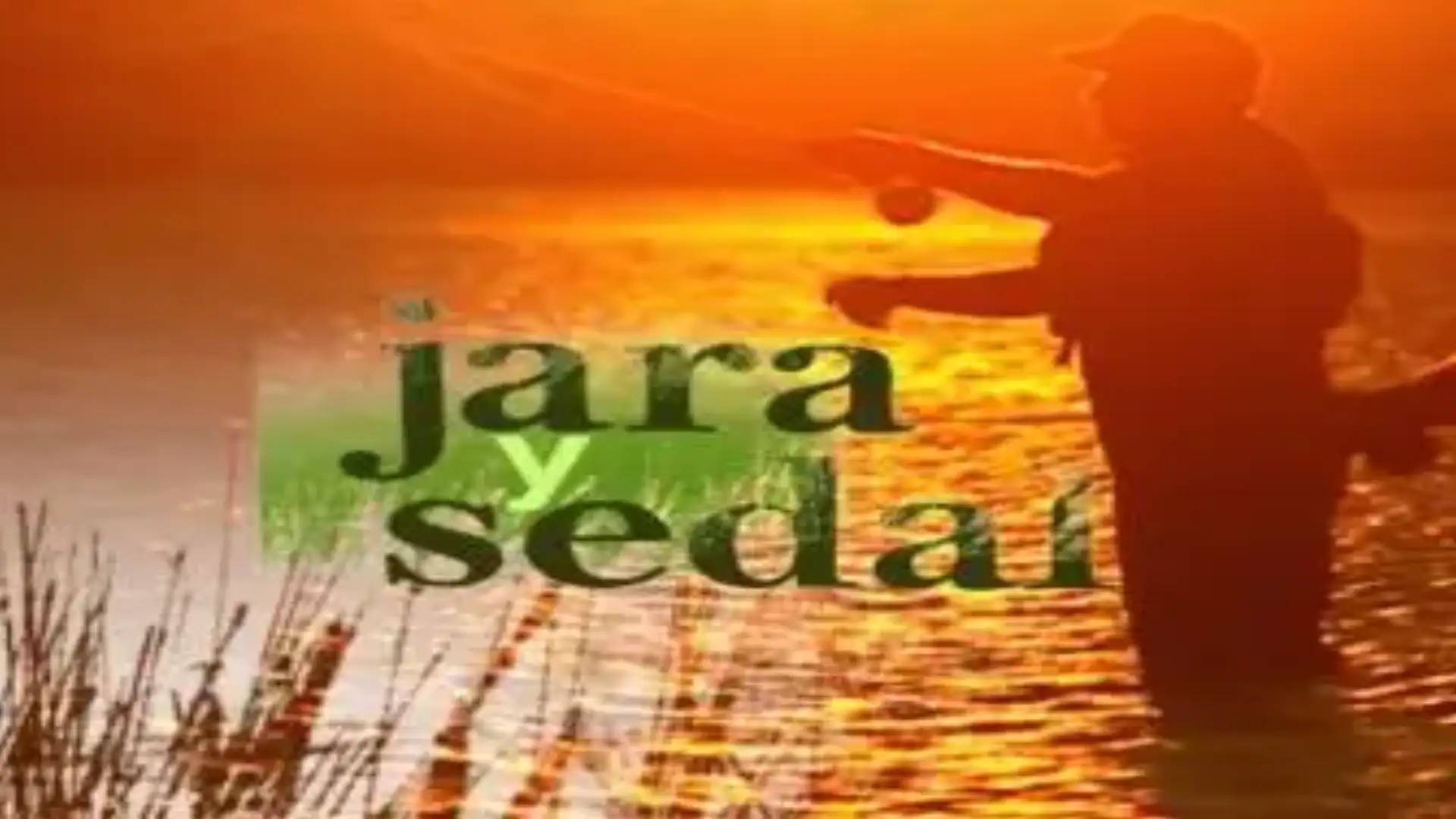 The Rodman Circuit's Canal + and TVE videos (2002-2008).