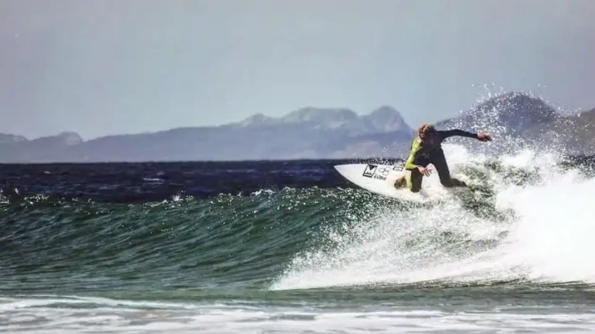 Surugly galicia. The Galician Federation publishes its 2016 Calendar.