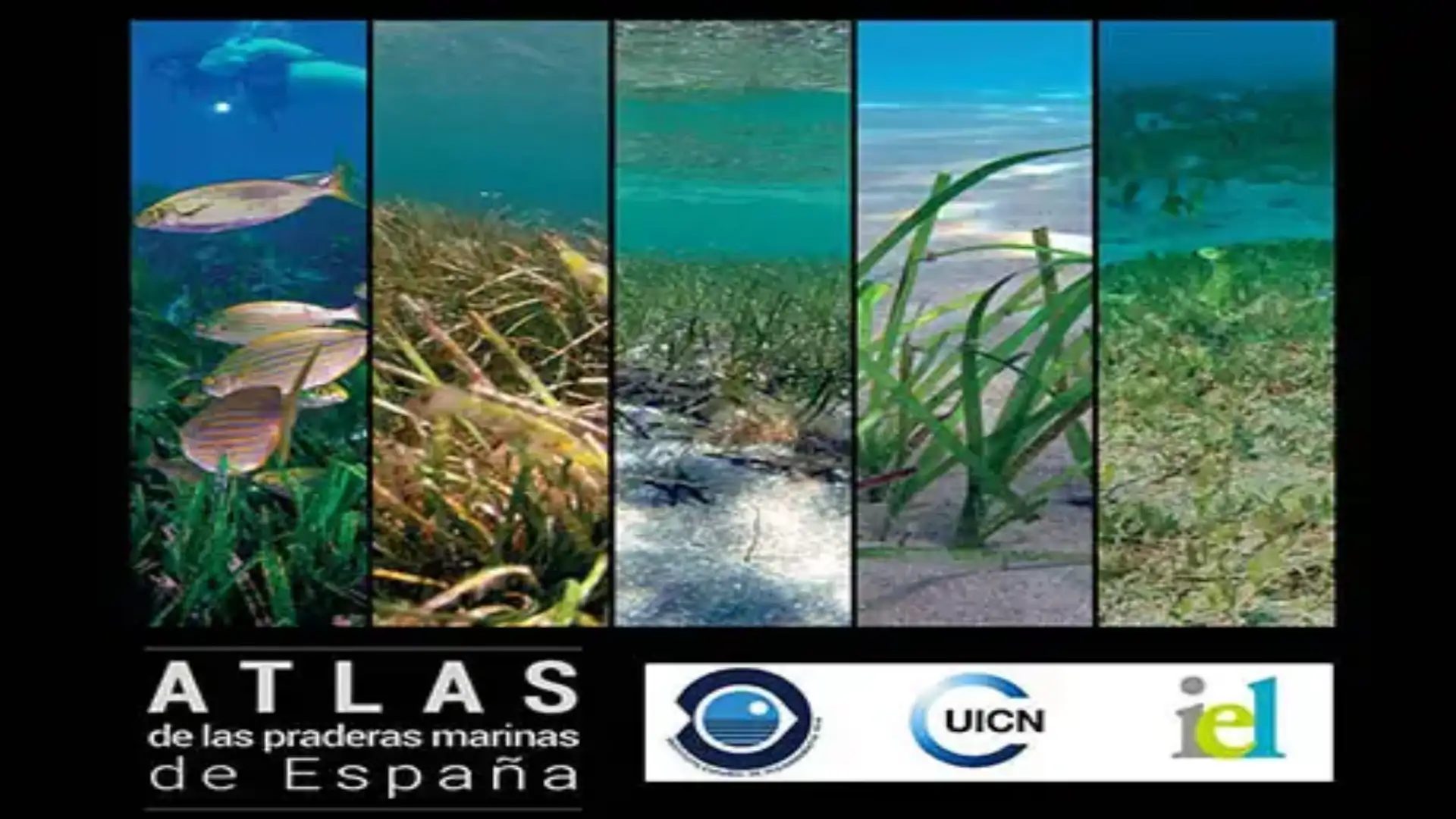 The IEO publishes the Atlas of the Spanish seaports.