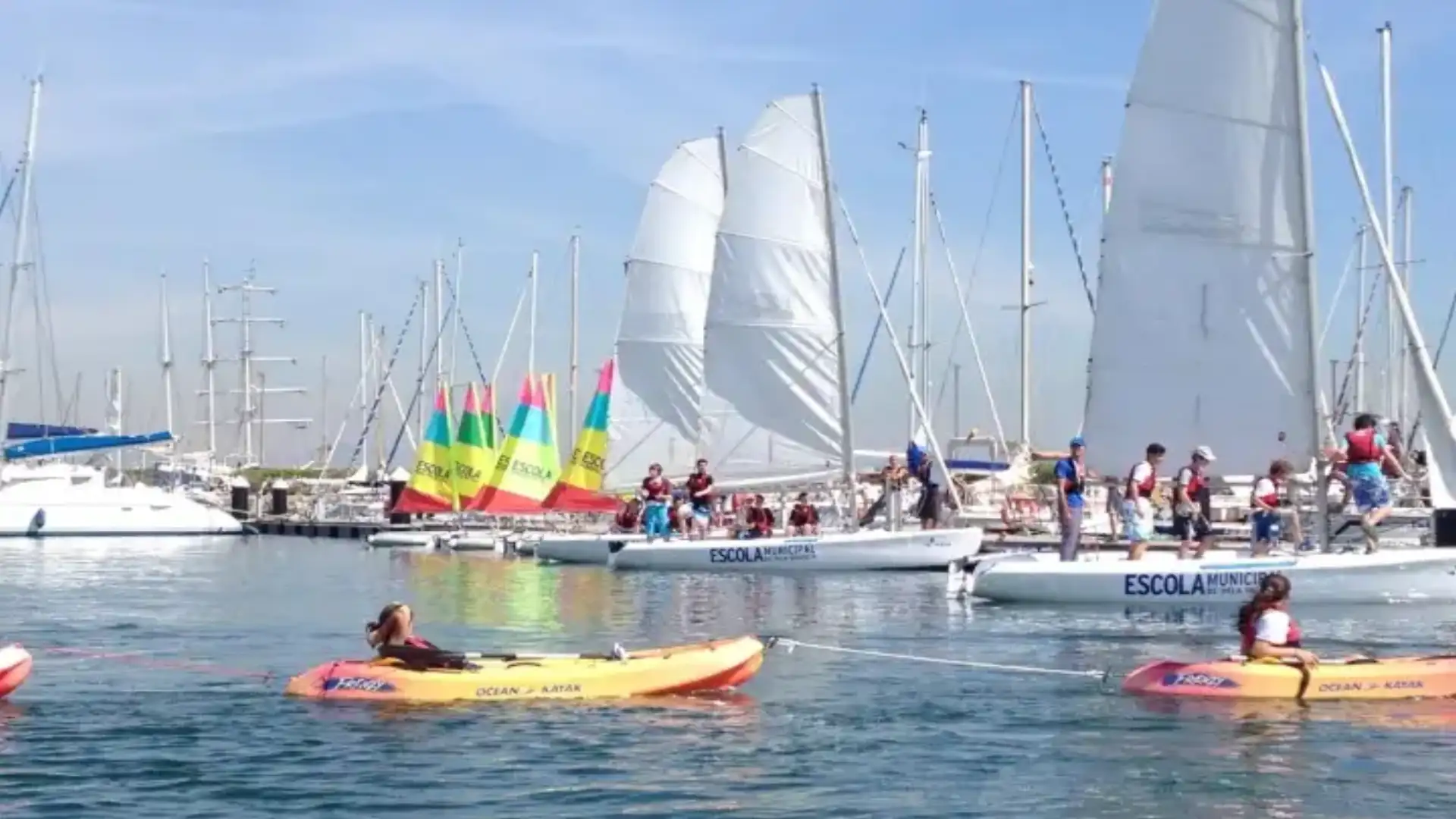 The federal sailing licences in Spain.