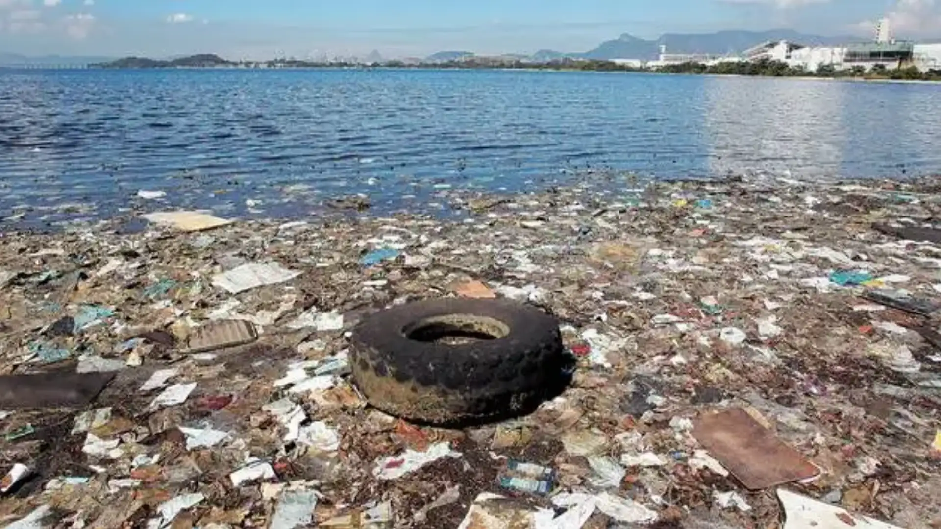 Es passierte den Weltmeertag. Und was dann?