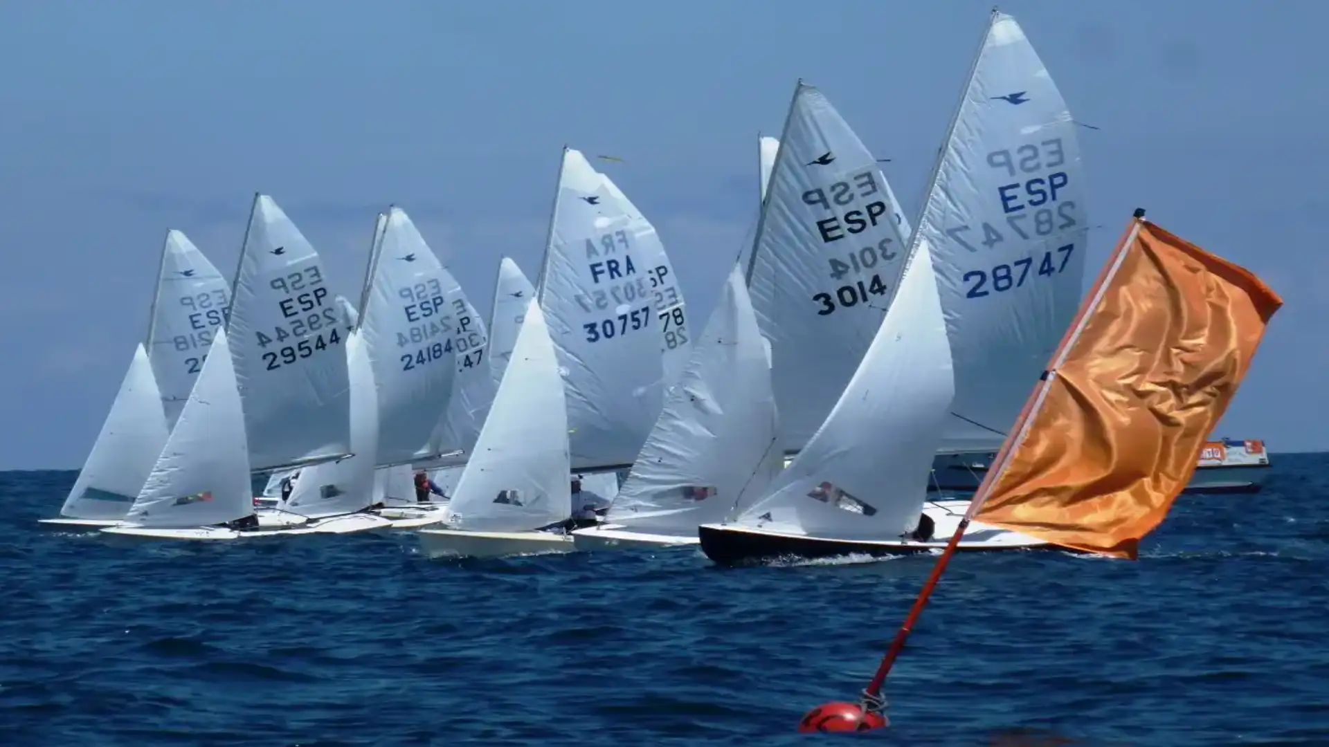 For "Chiqui IV" the quote of snipes in Santander, reduced to only two sleeves.