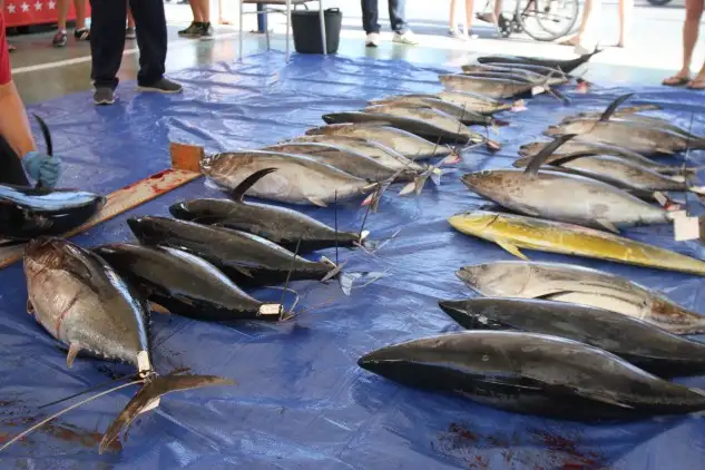 Capturas de la primera jornada del Circuito Metromar de Moraira.