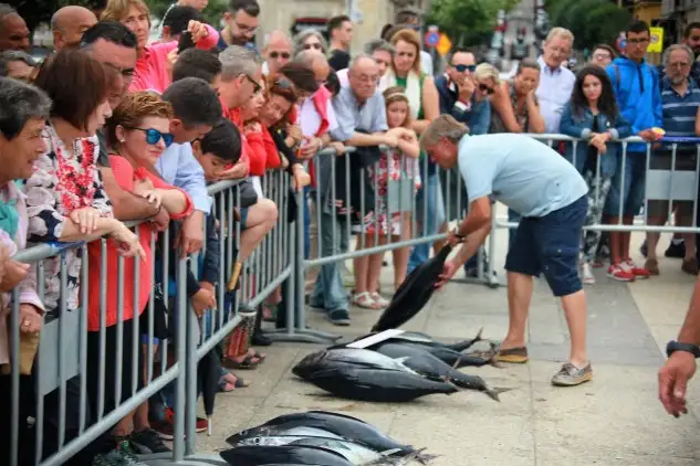 Ambiente Pesaje segundo dia-2