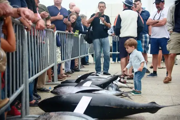 Ambiente Pesaje segundo dia-3