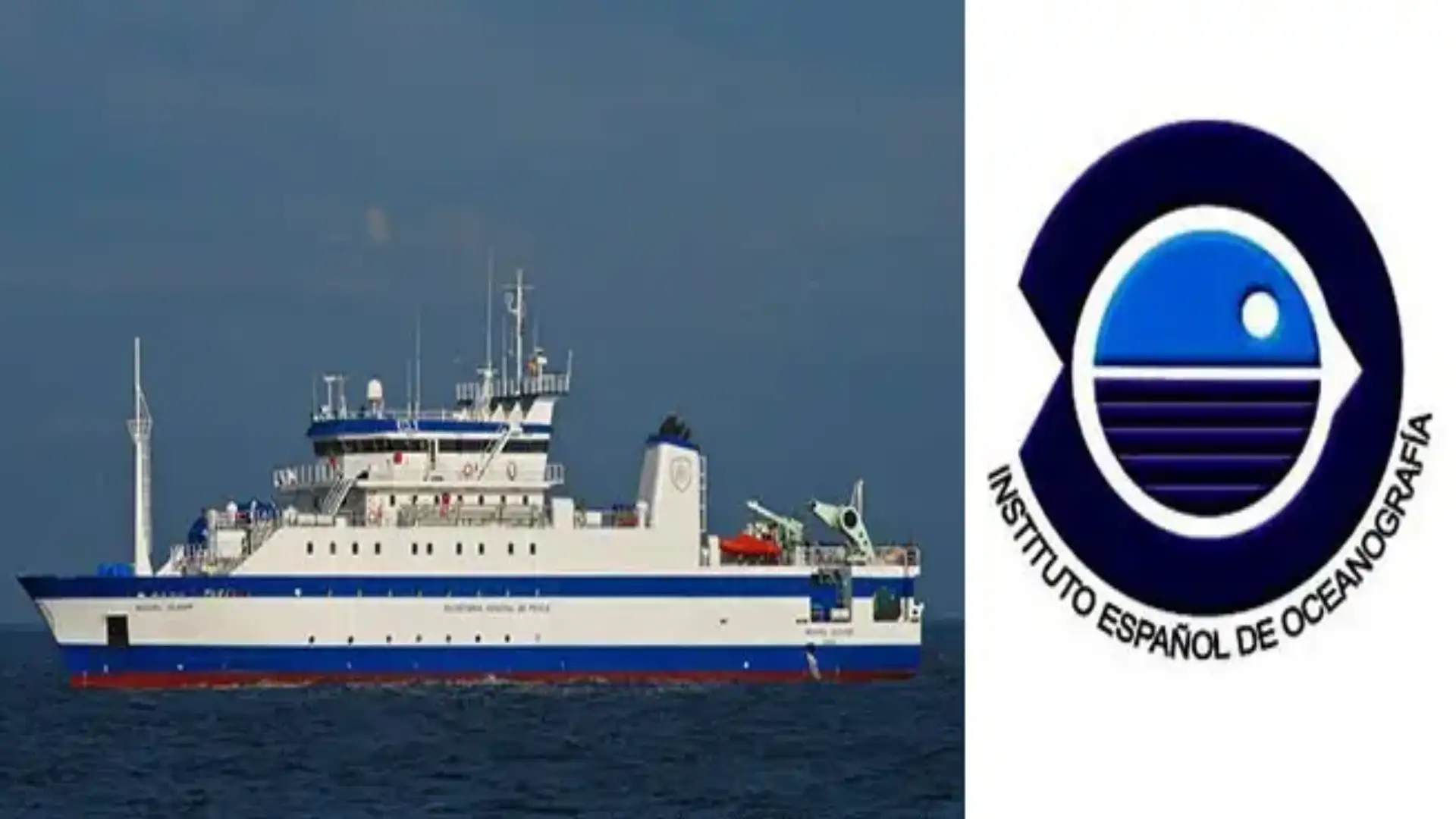 The IEO studies the abundance of boqueron and sardine in the Gulf of Cadiz with acoustic methods