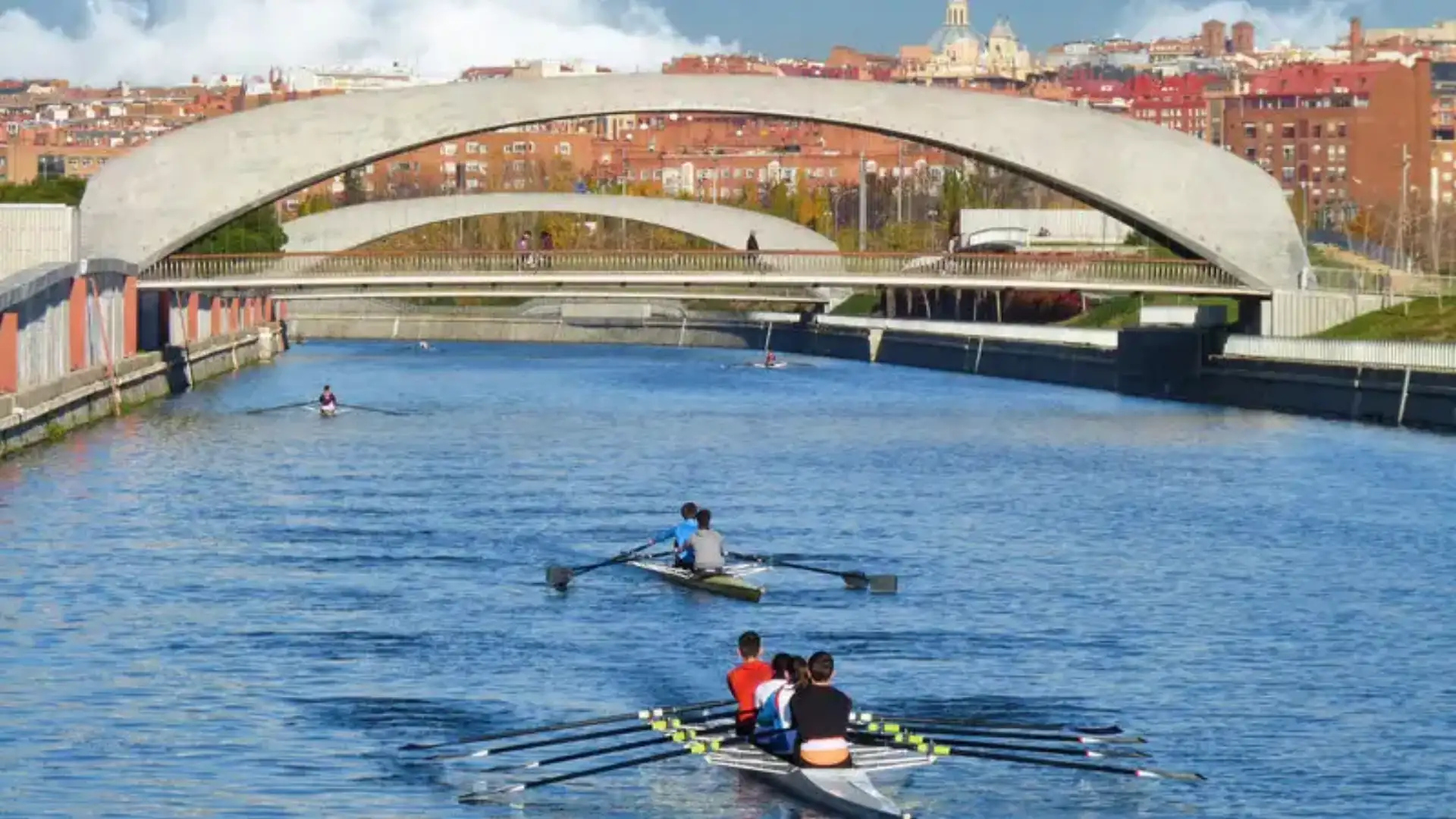 Unanimity in the rowing: No to the disappearance of the Remo in the Manzanares River!
