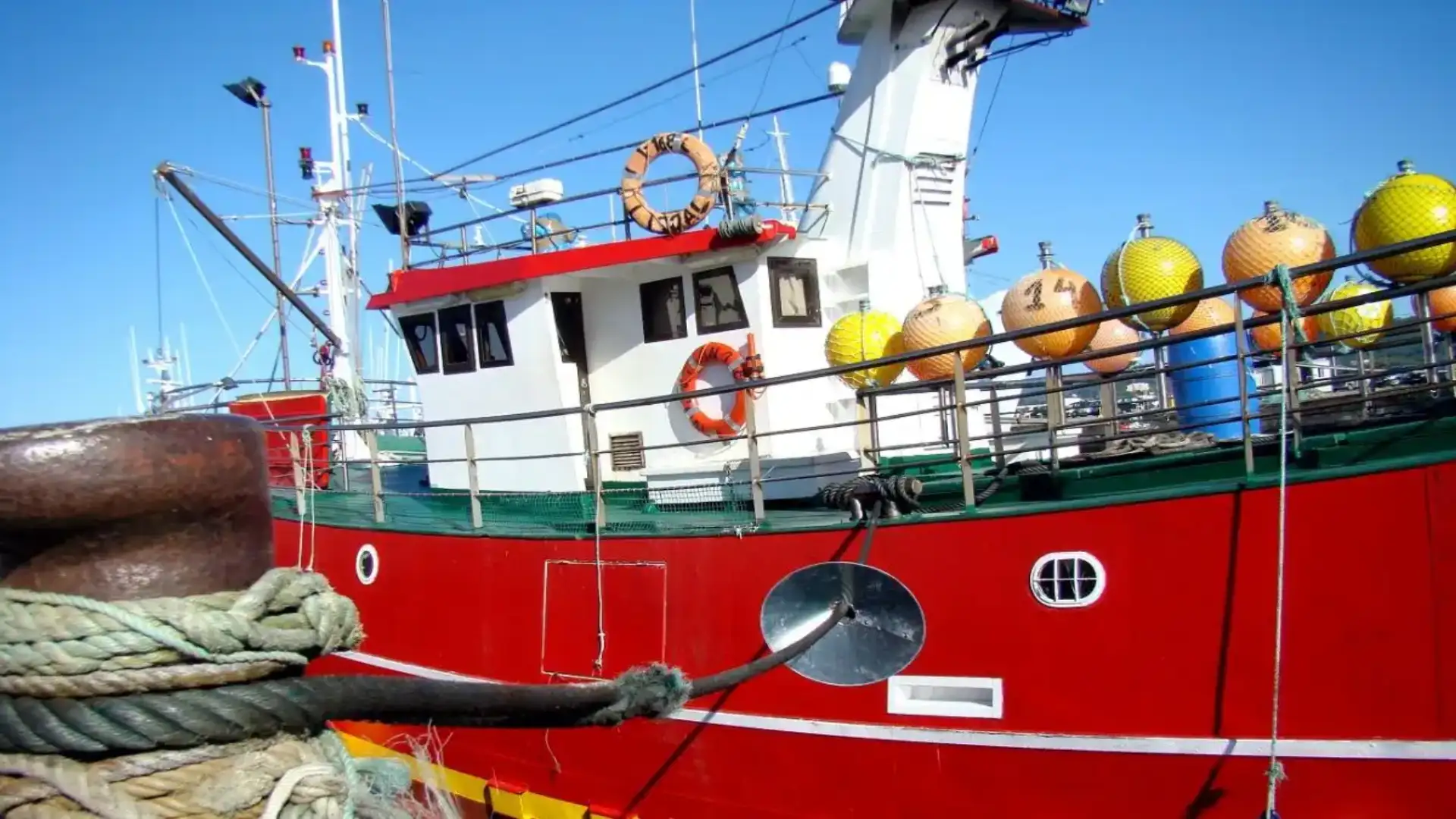 Spain achieves 360 tons extra in the quota of boqueron, following an agreement with Portugal