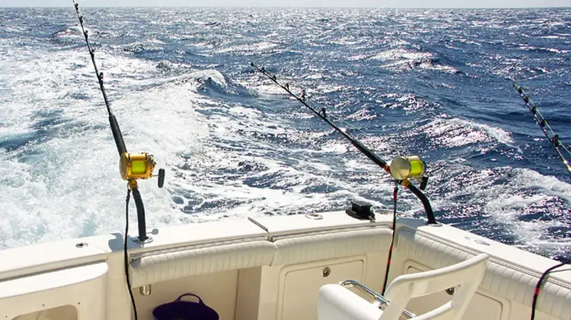 Para las instituciones canarias del sector es importante que se regule la pesca turística desde Madrid