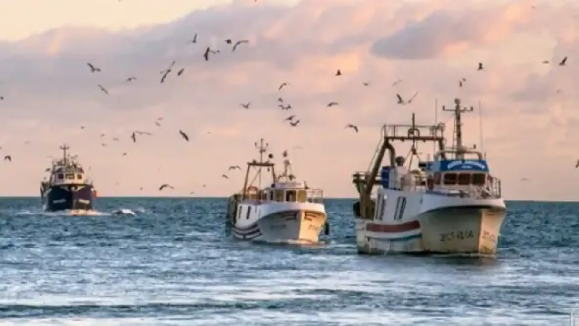 Cepesca requests the amendment of the Royal Decree which requires the "blue box" to be lit