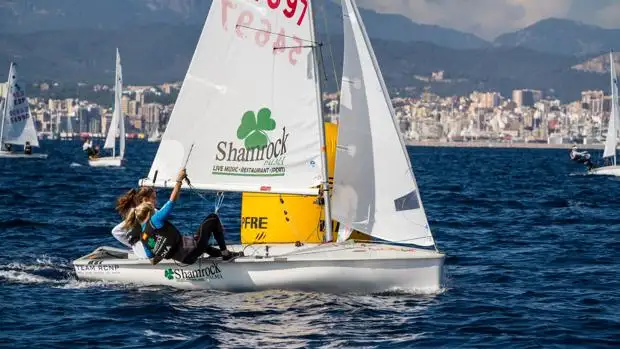Mucha competencia en la Bahía de Palma por las primeras plazas en la Copa de España de 420