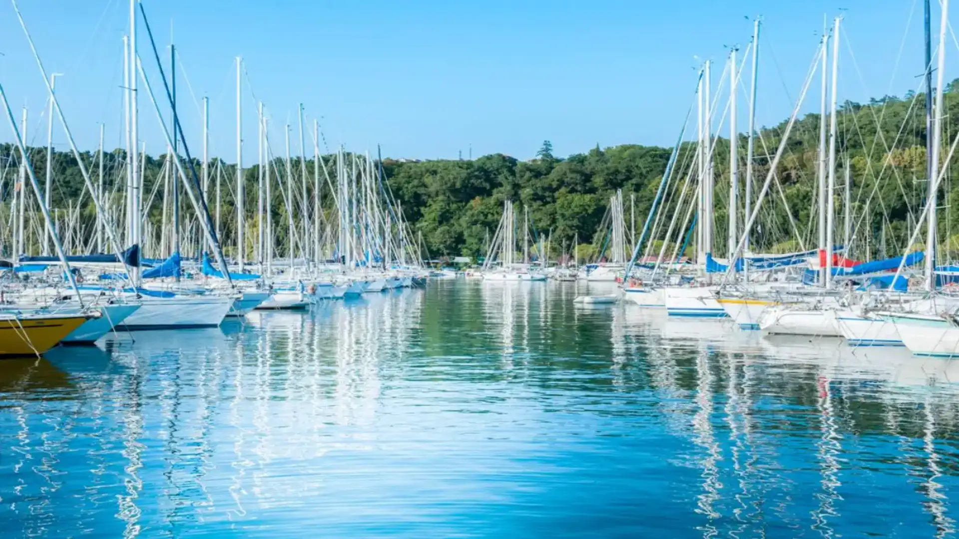 Catalonia, Andalusia and the Balearic Islands lead a nautical market that continues to grow