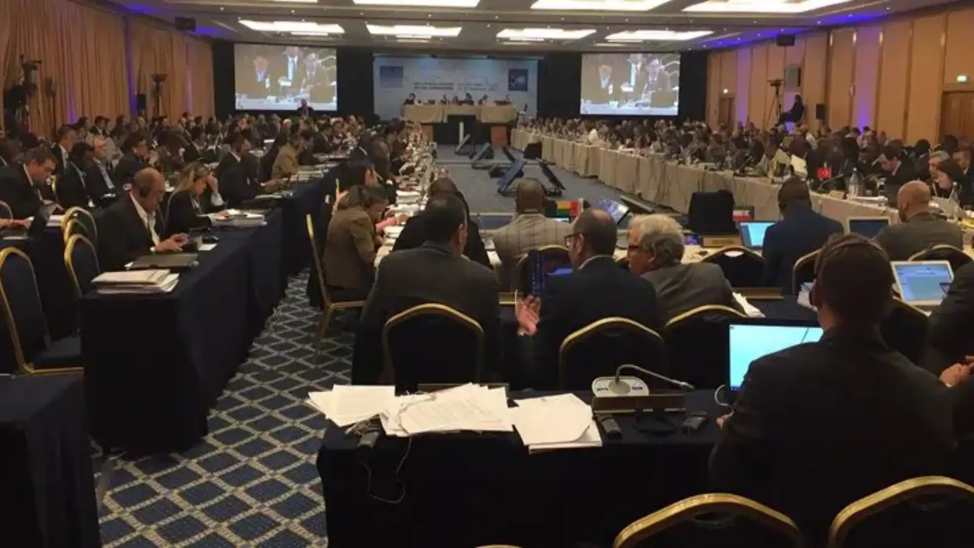 ICCAT meeting in Vilamoura under the sign of recovering species like swordfish