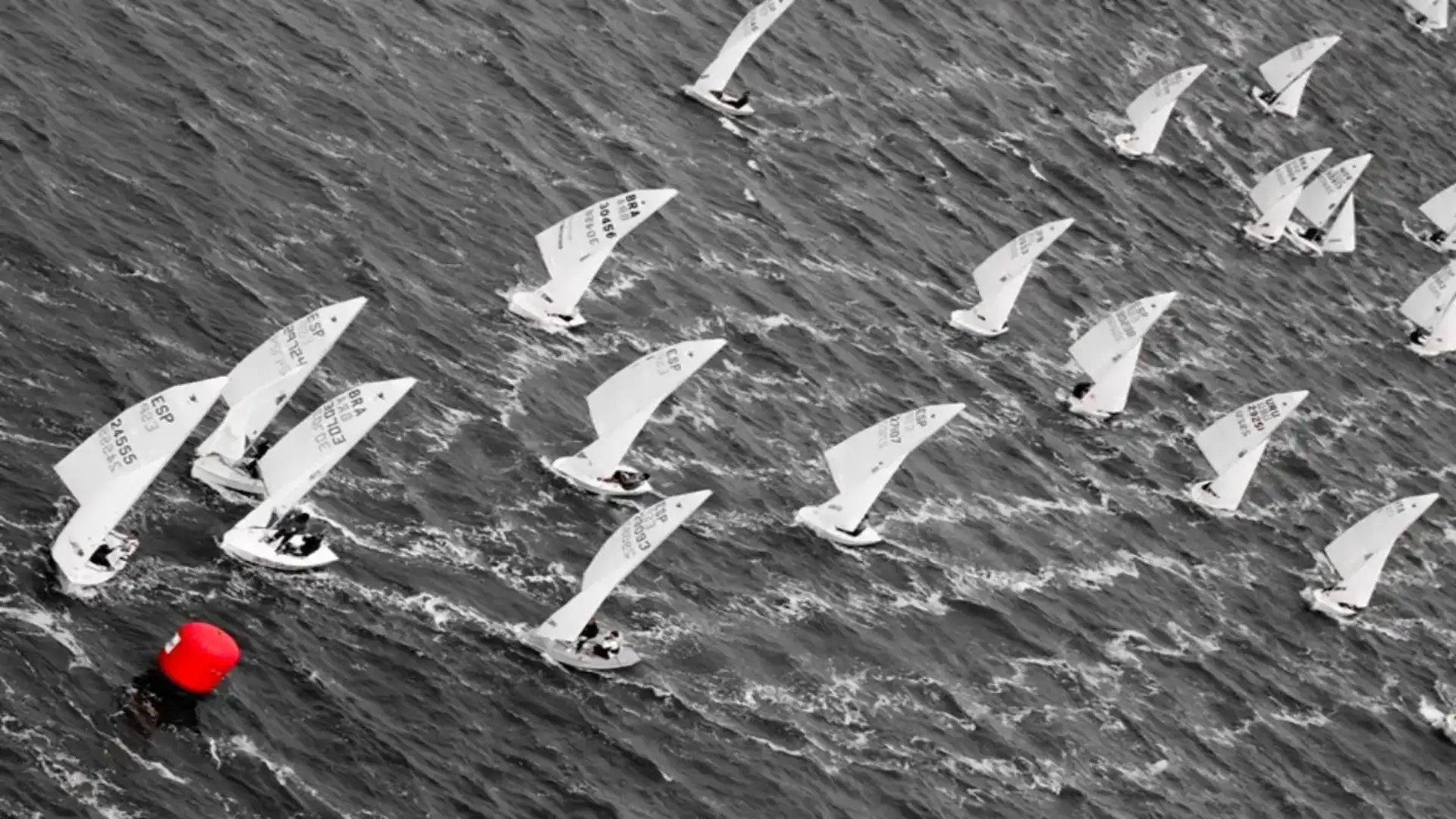 Success in the quote of Snipe Marcial Sánchez Barcaiztegui of Santiago de la Ribera