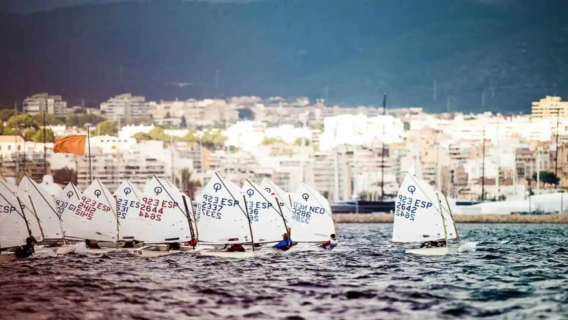 Ciutat Trophy of Palma de Optimist: the gold for the Danish Malthe Ebdrup