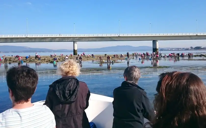 Una experiencia inolvidable, en un marco incomparable: la Ría de Arousa