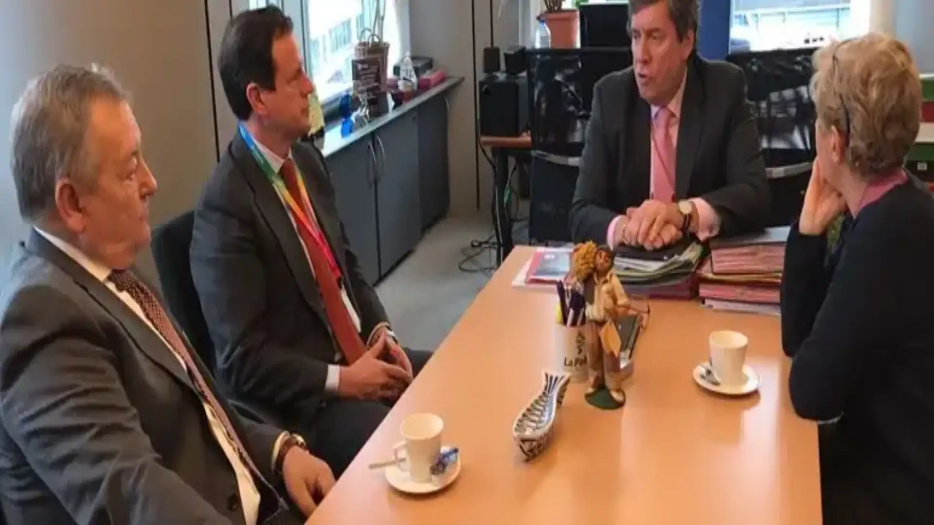 Cepesca proposes to the European Parliament a debate on sword fishing