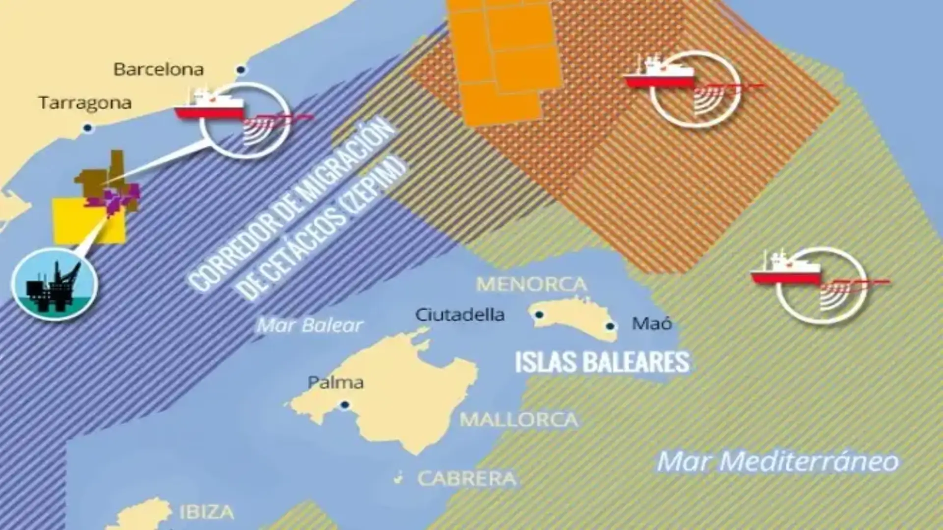 Alliance Mar Blava welcomes the protection for the "Mediterranean Cetaceans Corridor"