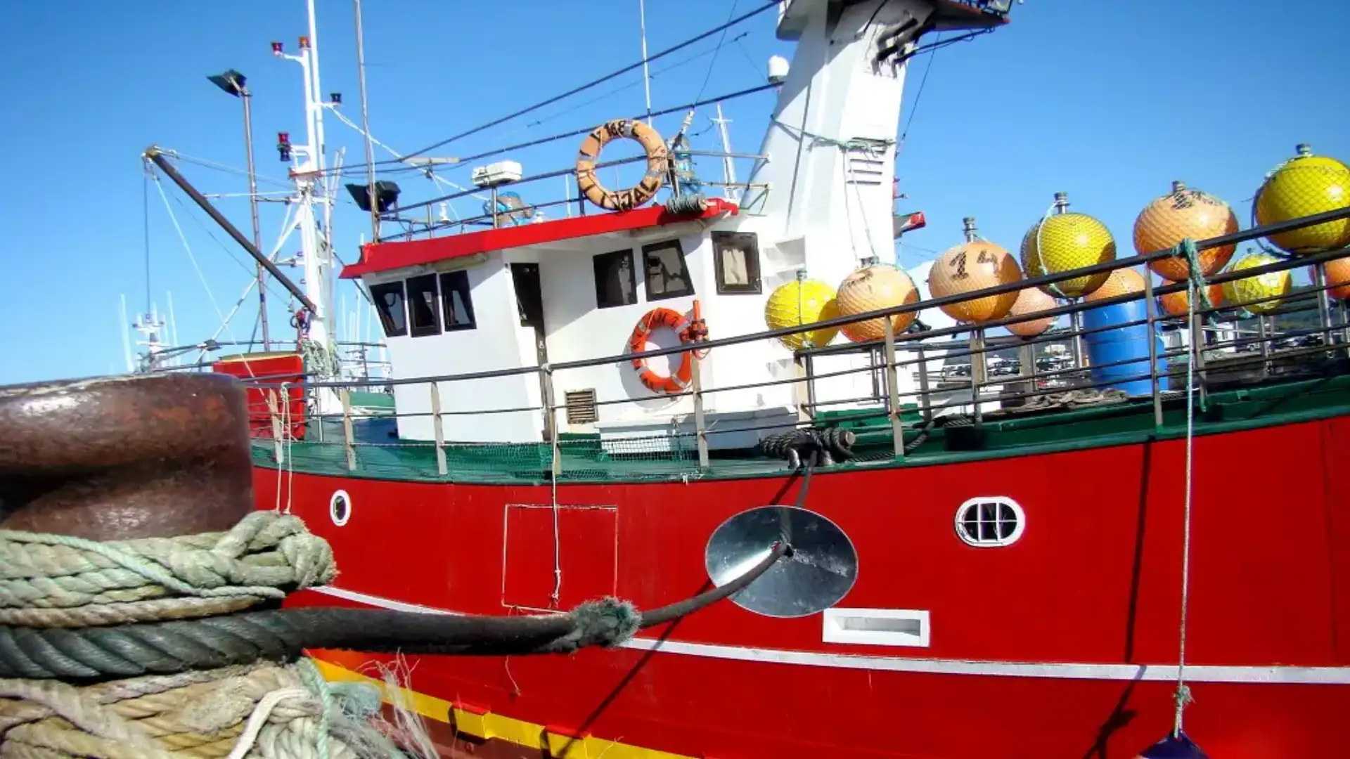 Fisheries launches a call for €4.1 M grants for fisheries sustainability