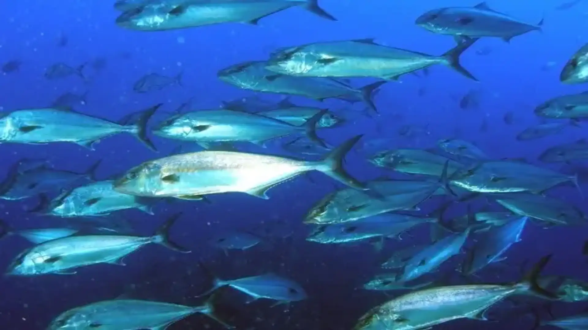 The Ministry of Agriculture and Fisheries has an excellent exchange agreement with France