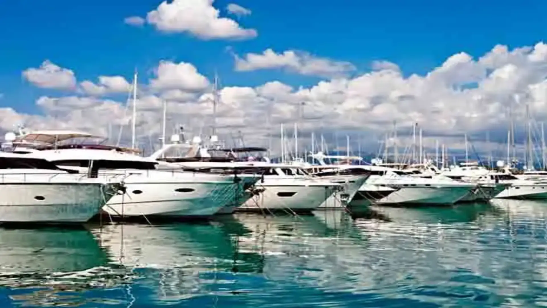 New "meeting with the sea" of the Maritime Cluster dedicated to nautical tourism