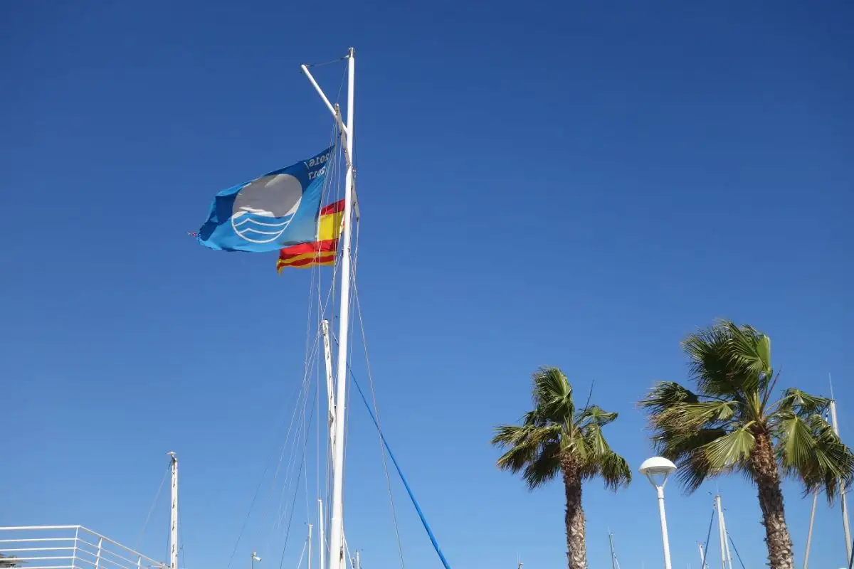  El viento ha protagonizado el inicio del segundo ciclo del Trofeu Cornudella. Foto: Carla Robert 