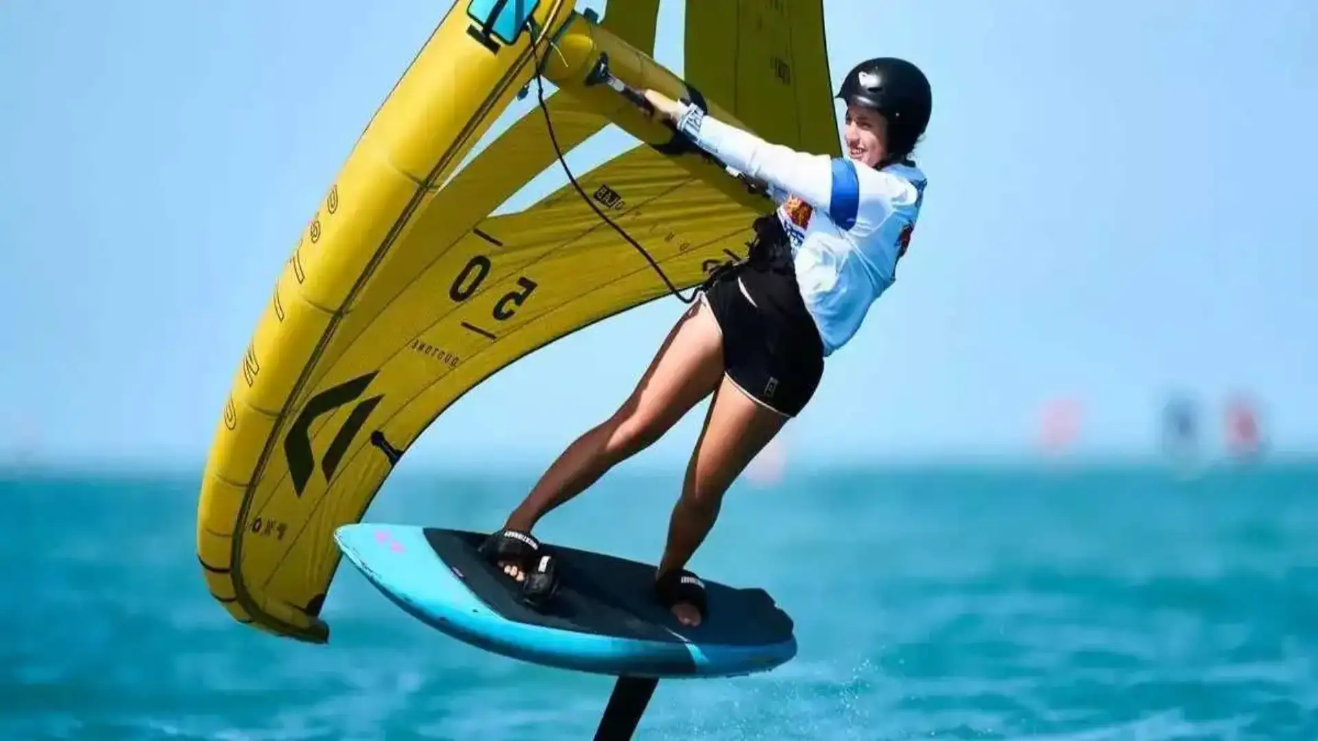 La Coupe du Monde de Wingfire, le Golfe d'Arturo, les Gadis