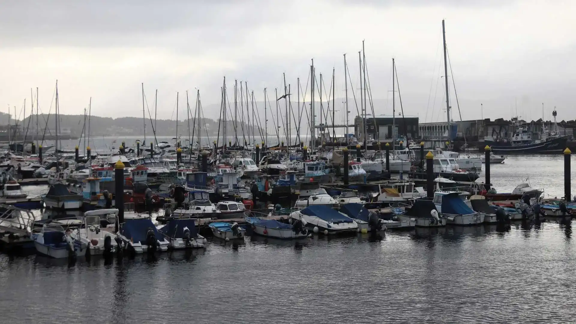 Le marché nautique atteint 4 506 inscriptions jusqu'en septembre