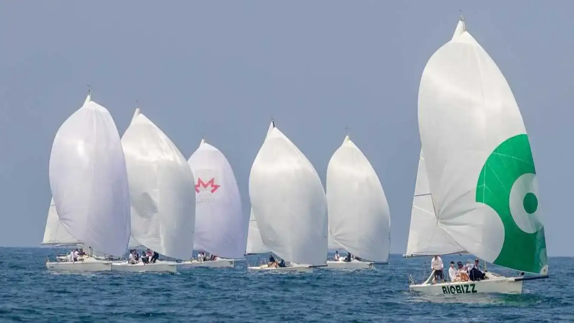 Régate de Getxo, Le Port avec le Projet Homme, l'Européen de Nacra et Sa Rrapita