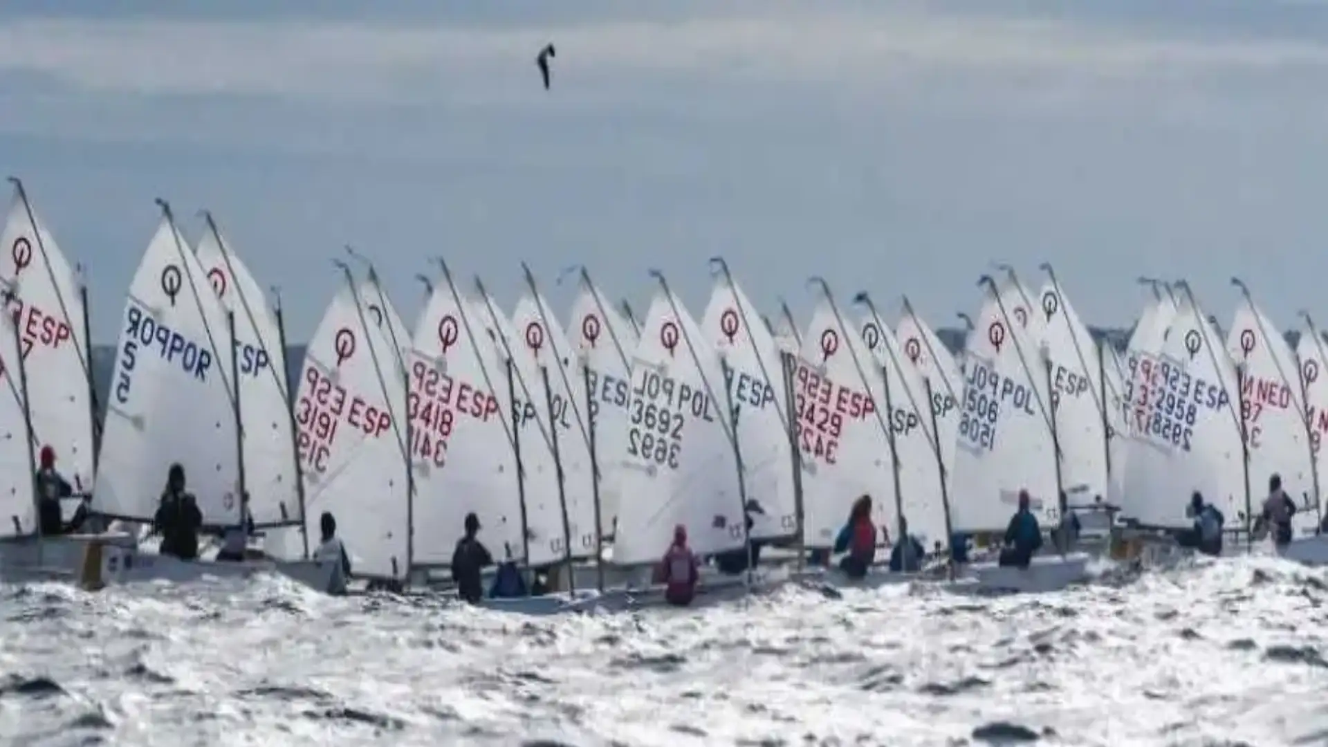 Ciutat de Palma de Optimist, Semaine d'Alicante