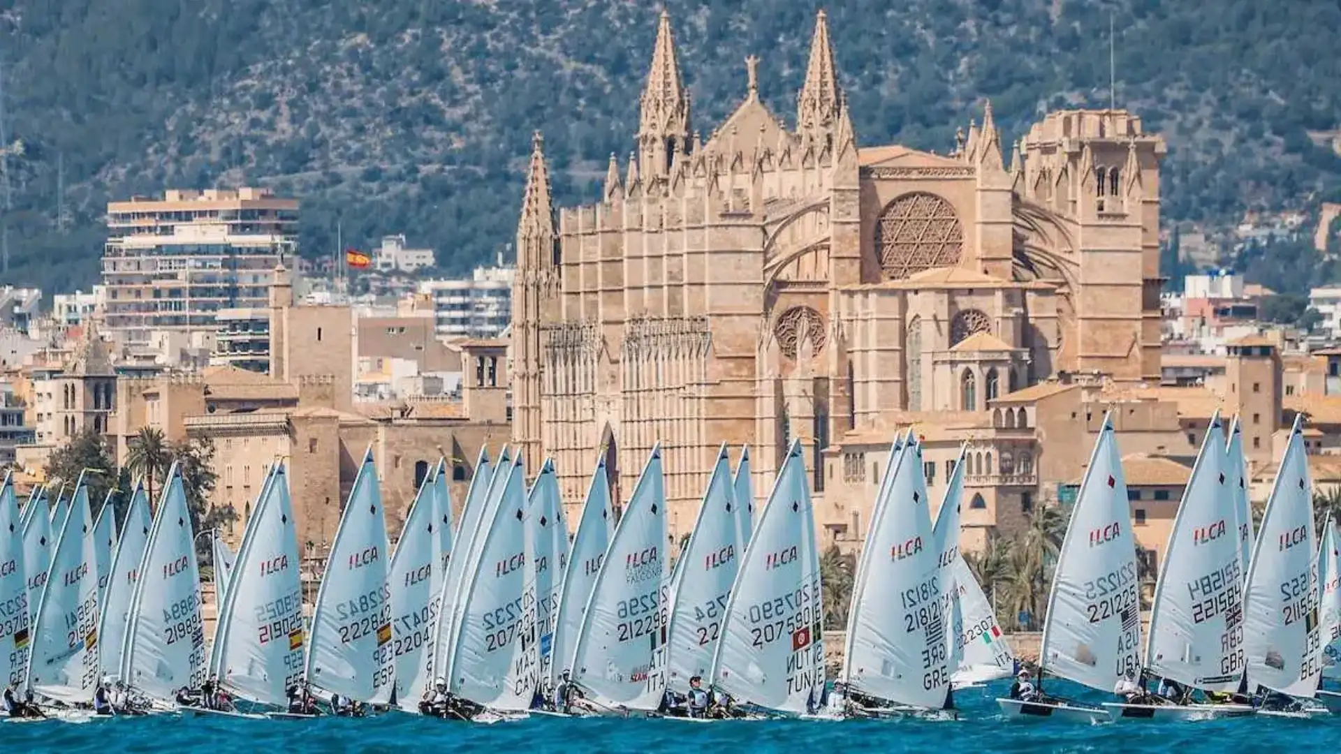 A 100 jours de la princesse Sofia, championne andalouse Uxama A2