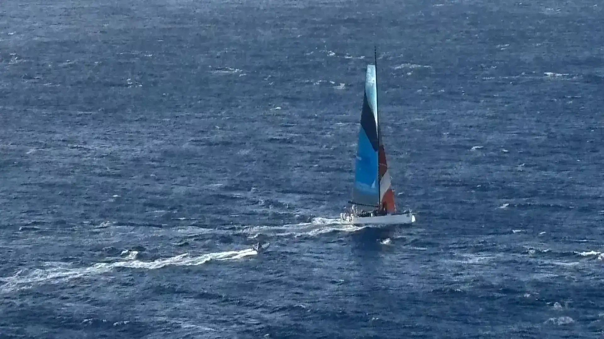 Desafio 533 estabelece um novo recorde da Regata Oceânica Palos-La Gomera